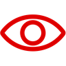 vision